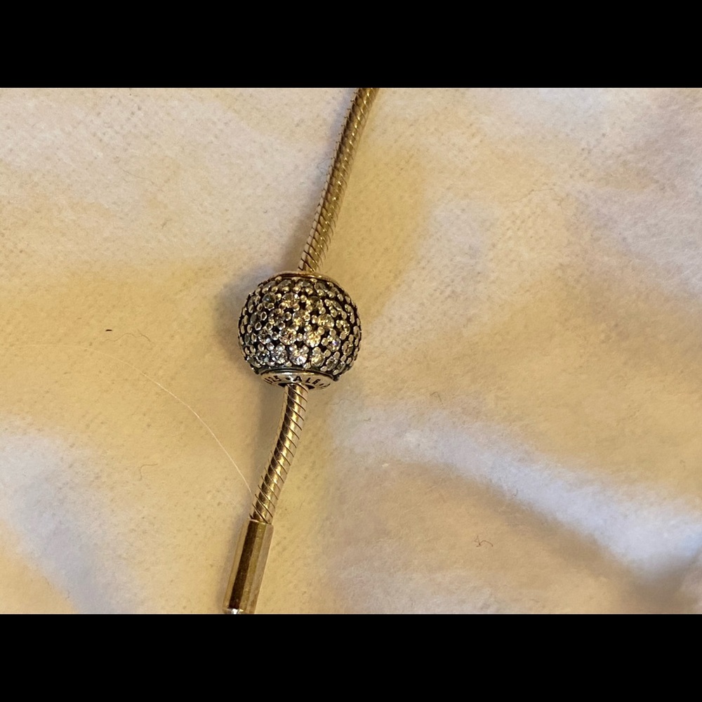 Pandora Essence Generosity Charm